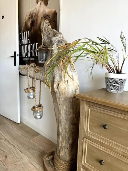 Appartement Cosy Calao - Parking Ferme Gratuit Perpignan Eksteriør bilde