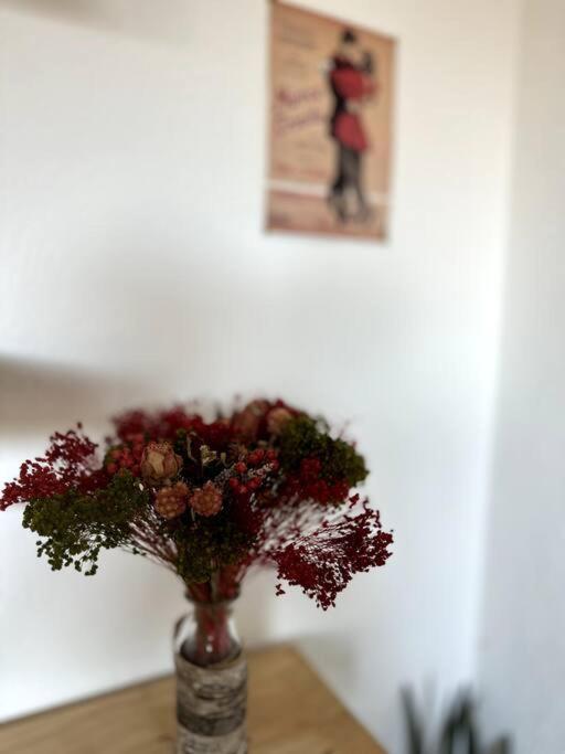 Appartement Cosy Calao - Parking Ferme Gratuit Perpignan Eksteriør bilde