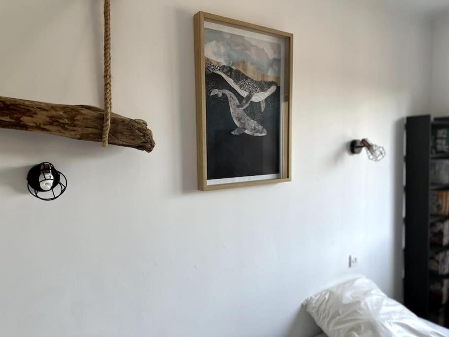 Appartement Cosy Calao - Parking Ferme Gratuit Perpignan Eksteriør bilde