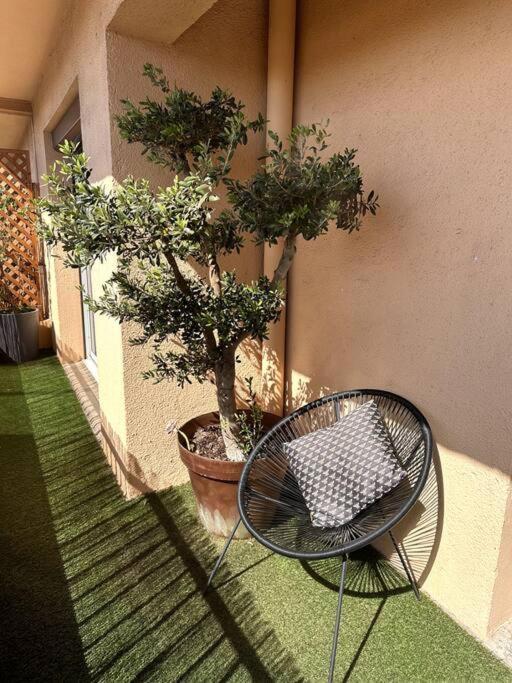 Appartement Cosy Calao - Parking Ferme Gratuit Perpignan Eksteriør bilde